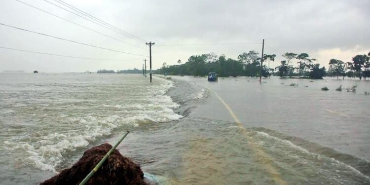 ছবিঃ সংগৃহীত