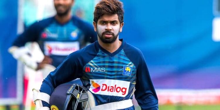 ছবিঃ সংগ্রহীত