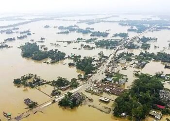 ছবিঃ সংগ্রহীত