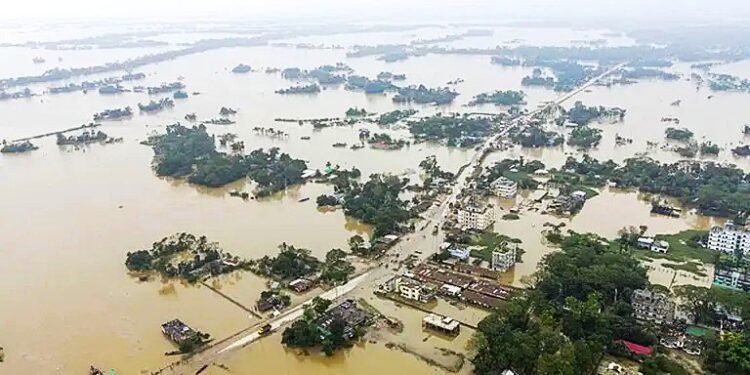 ছবিঃ সংগ্রহীত