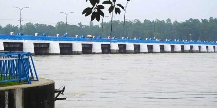 ছবিঃ সংগ্রহীত