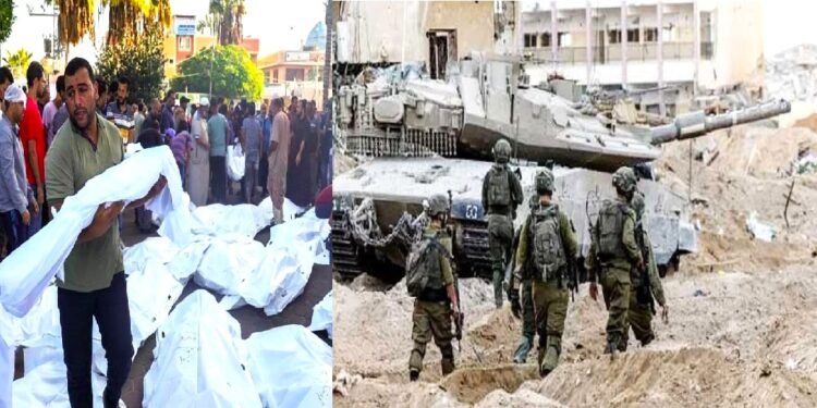 ছবিঃ সংগ্রহীত