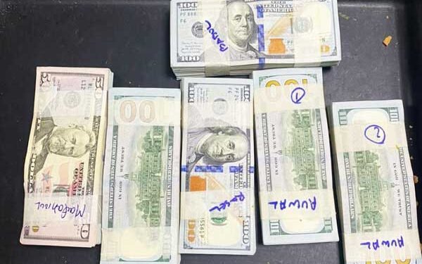 ছবিঃ সংগৃহীত