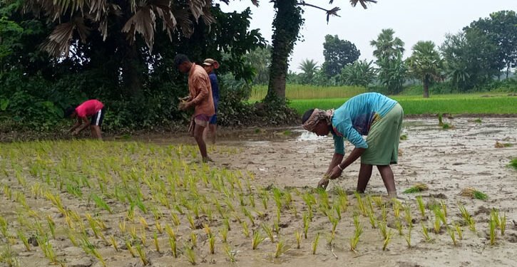 ছবি:সংগৃহীত