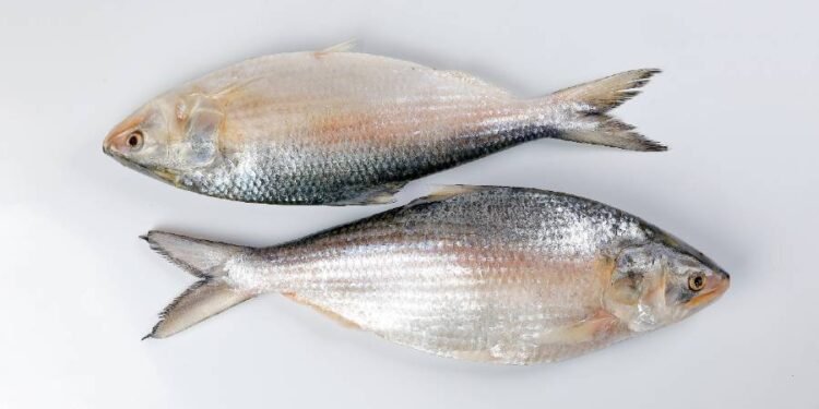 ছবি:সংগৃহিত