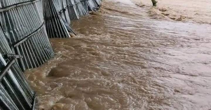 ছবি:সংগৃহীত