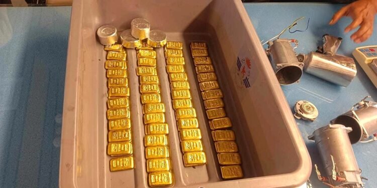 ছবিঃ  সংগৃহীত