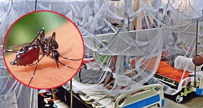 ছবিঃ সংগৃহীত